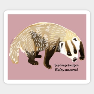 Anakuma the Japanese badger #1 Sticker